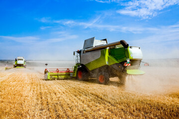Grain harvesters working in wheat and rye field. Agriculture background. Harvest season