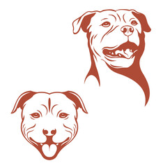 Portrait of two staffordshire terriers, two line art dogs images, isolated on white background. - obrazy, fototapety, plakaty