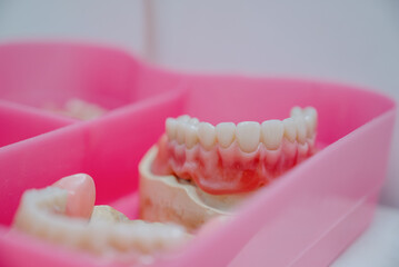 False teeth in the dental office.Dentistry and healthcare concept at dental clinic.