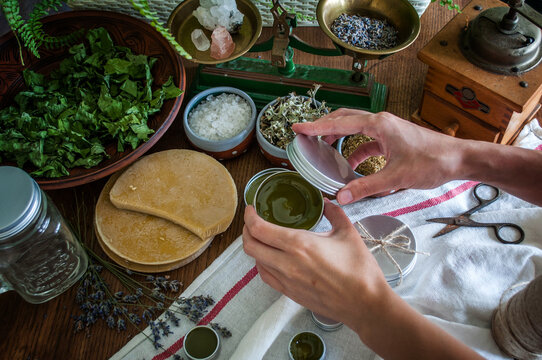 Women's hands holding a tin jar of homemade salve. Home herbalism and cosmetics. Natural homemade salve in metallic tin jar with dried plants and herbs flowers.