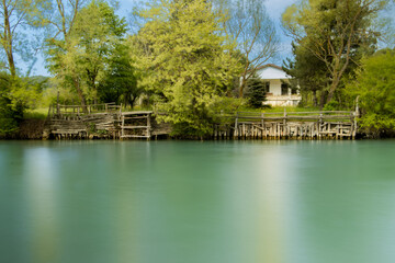 house between trees near river