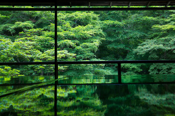 A beautiful table that reflects the fresh green of Rurikoin in Kyoto, Japan