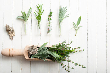 herbal plants in mini bottles and bunch on scoop, white wood table background