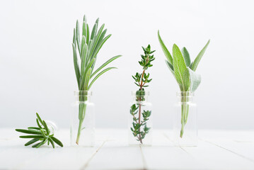 lavender, thyme and sage fresh herbal leaves in mini glass bottles, white wood table background