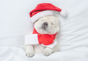 Funny Golden retriever puppy wearing red santa's hat sleeps under warm blanket on a bed at home....
