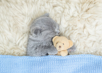 Cozy tiny kitten sleeps with favorite toy bear under warm  blanket on a bed at home. Top down view