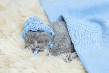 Cozy kitten wearing warm knitted hat sleeps under fuzzy blanket on a bed at home. Top down view