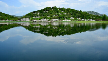  Skadar lake(Montenegro) is the largest lake in the Balkan peninsula.The lake is located on the border between Albania and Montenegro, about 2-3 of the surface belongs to the latter.