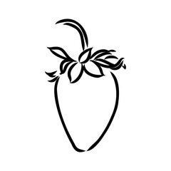 Strawberry hand drawn vector illustration. Sketch style drawing isolated on white background with leaf. Organic vegetarian object for menu, label, recipe, product packaging