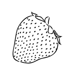 Strawberry hand drawn vector illustration. Sketch style drawing isolated on white background with leaf. Organic vegetarian object for menu, label, recipe, product packaging