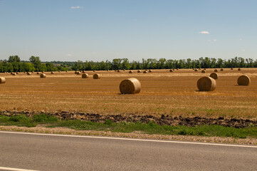 hay rolls along the road © Evgeny