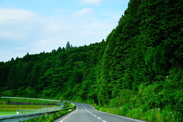 道路