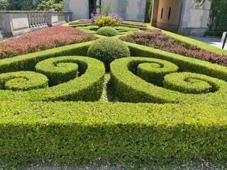 ornamental garden 