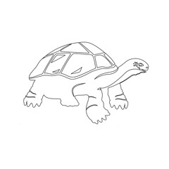 Turtle. Contour. Vector illustration.