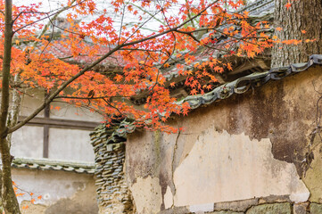 光明寺（兵庫県神戸市北区）の紅葉