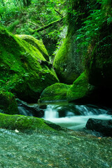 川の流れのように