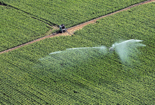 Irrigation on the corn field aerial photo