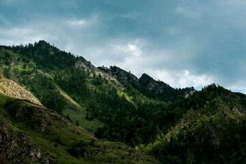 The mountains are overgrown with green trees. Pine trees, Christmas trees in the mountains. Nature of Canada. Nature of Russia. The nature of the United States.