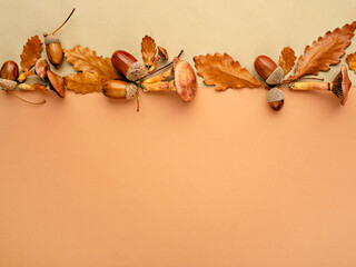 Top view of acorns, mushrooms and oak leaves on double green and brown background. Autumn forest...