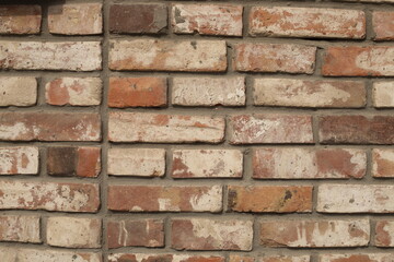Old brick wall with large lamina, background