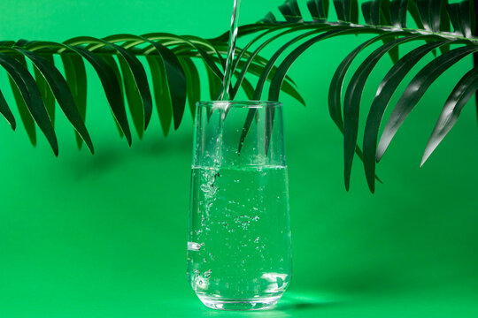 Drinking natural water. A glass of clean filtered water on a green background. Life source © Ruzanna