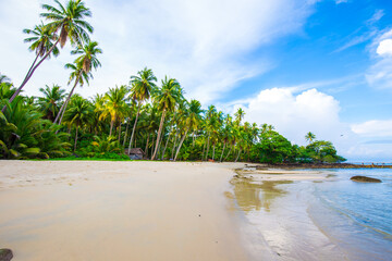 Island sea beach coconut palm tree against blue sky with cloud