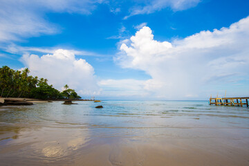 Fototapeta na wymiar Island sea beach coconut palm tree against blue sky with cloud