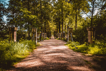 Fototapeta na wymiar Forest entrance path to castle property