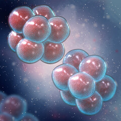 Medical background, Sarcins, a genus of gram-positive cocci, arranged in the form of packages of 8 cocci, causes tonsillitis, scarlet fever, erysipelas, purulent-inflammatory diseases, 3d rendering