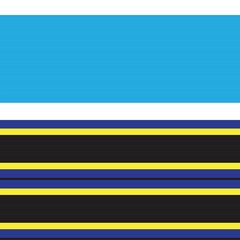 Obraz premium Yellow Double Striped seamless pattern design
