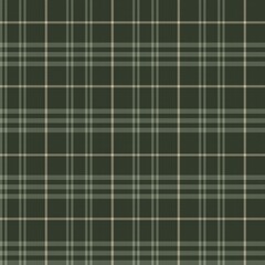 Obraz premium Green Asymmetric Plaid textured Seamless Pattern