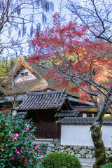 天野山金剛寺（大阪府河内長野市）の紅葉