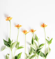 Fototapeten orange flowers on white background top view © Maya Kruchancova