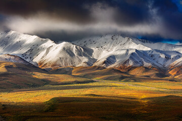 Autumn in Denali National Park Alaska; snow covered mountains in Polychrome Pass with freshly...