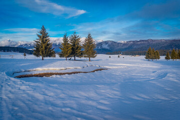 Fototapeta na wymiar Cansiglio neve paesaggio
