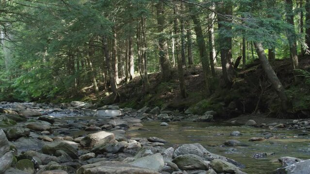 Mountain brook with pan left