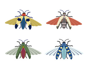 Vector collection of colorful bugs in flat. Can be used as a template for your design, stickers, logo, icons, apparel.