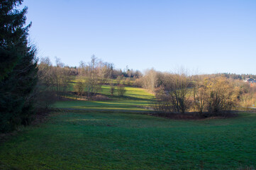 SONY DSC