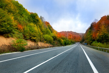 Empty road going through colorful forest with autumn colırs in Kirklareli Turkey