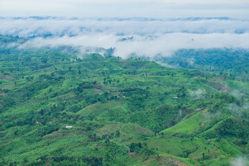 Obraz premium green valley, Panoramic view of mountains, Natural green forest background with clouds, Sajek valley