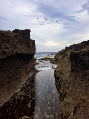 rocks on the beach