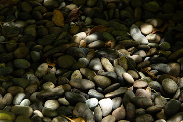  closeup of a pile of pebbles