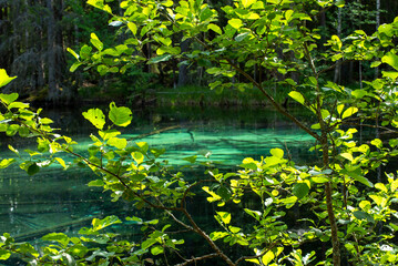 Beautiful turquoise natural spring wather in Ingbo national park in north o Sweden