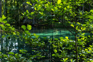 Beautiful turquoise natural spring wather in Ingbo national park in north o Sweden