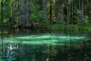 Beautiful turquoise natural spring wather in Ingbo national park in north o Sweden