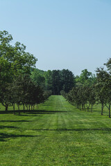 Apple trees alley park garden outdoor summer landscape, New Jersey Botanical Garden. High-quality photo