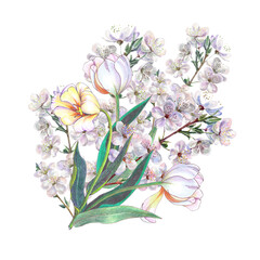 Watercolor bouquet of spring flowers tulip and sakura. Illustration for decor. 