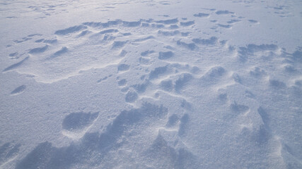 Texture of white snow with natural roughness.