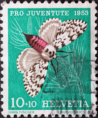 SWITZERLAND - CIRCA 1953: a postage stamp from Switzerland, showing a Black Arches butterfly...