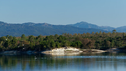 Fototapeta na wymiar Alzitone lake in eastern plain of Corsica islans